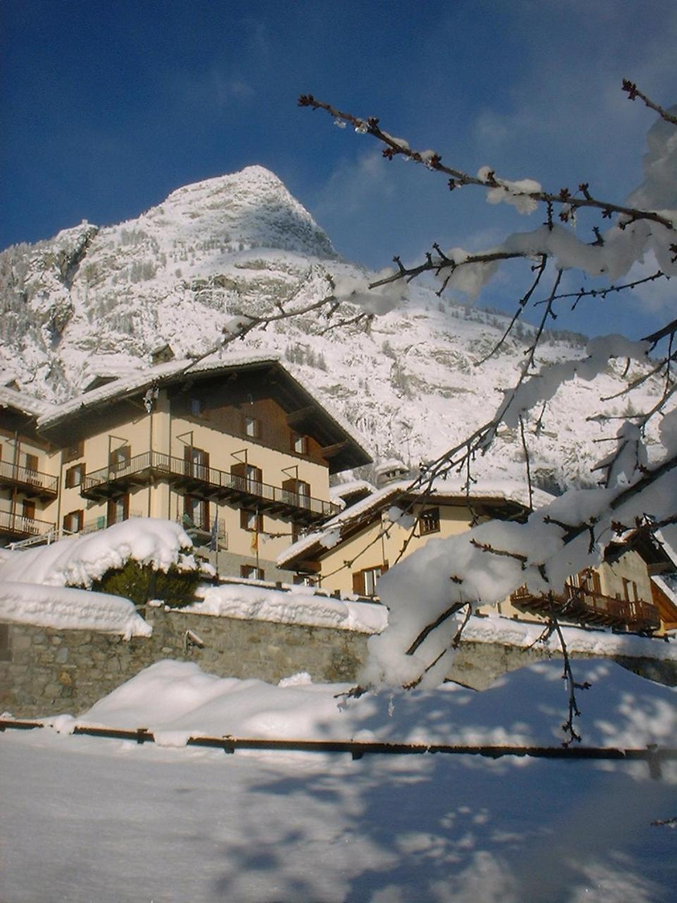 Hotel Ottoz Meuble Courmayeur Exterior photo